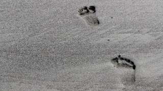 Hit the beach this summer! image