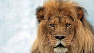 Why you should read The Chronicles of Narnia image