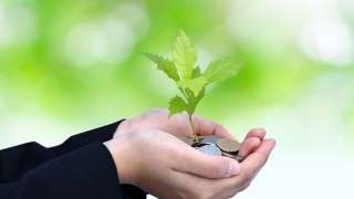 How much money should teens give to church or youth group? image